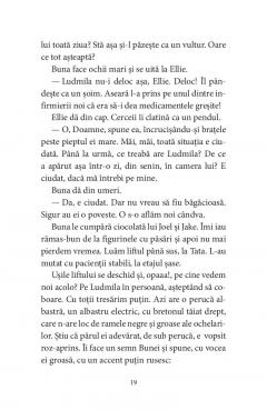 Pasarile dintr-o buna zi