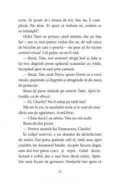 Pasarile dintr-o buna zi