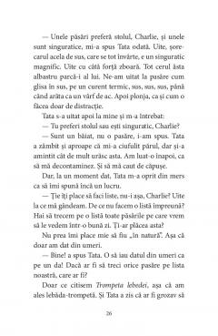 Pasarile dintr-o buna zi