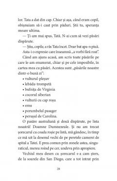 Pasarile dintr-o buna zi