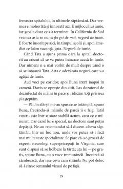 Pasarile dintr-o buna zi