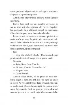 Pasarile dintr-o buna zi