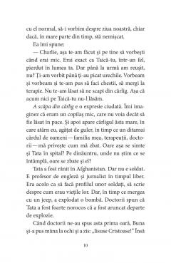 Pasarile dintr-o buna zi