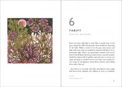 The Book of Wild Flowers