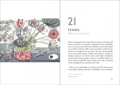 The Book of Wild Flowers