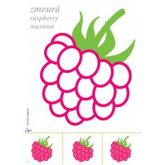 Mapa - Fructe si legume