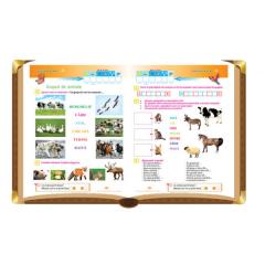 Joaca-te si descopera - Lumea inconjuratoare 6+