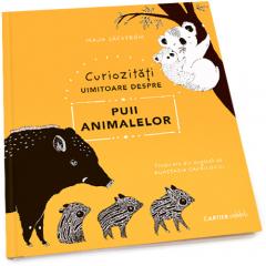 Curiozitati uimitoare despre puii animalelor