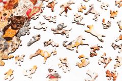 Puzzle - Petrecerea cainilor - 250 piese