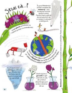 Intrebari si raspunsuri istete despre stiinta