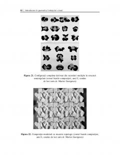 Introducere in gramatica limbajului vizual