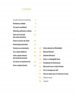 Ce a uitat calatorul