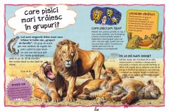 Cea mai noua carte de intrebari si raspunsuri