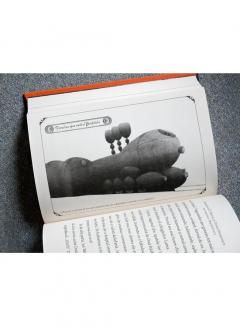 Iepurelius D. Pascal si Ouale Razboinice in Centrul Pamantului - Strajerii copilariei