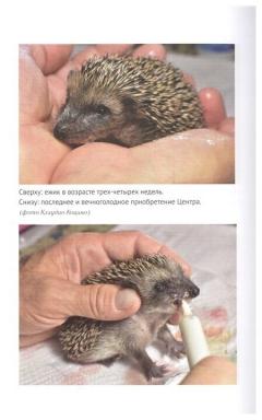 25 граммов счастья