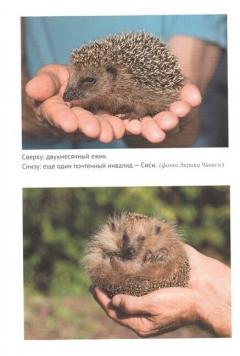 25 граммов счастья