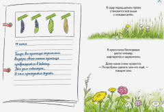 Дневник гусеницы