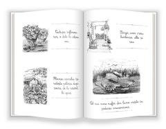 Flori - Caiete activitati de citire