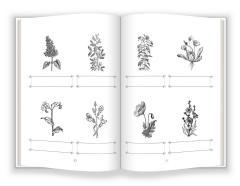 Flori - Caiete activitati de citire