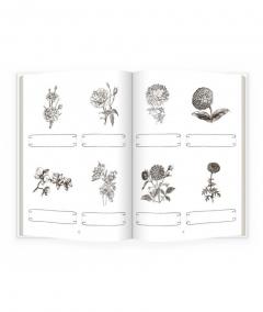 Flori - Caiete activitati de citire