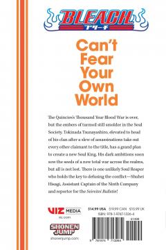 Bleach: Can't Fear Your Own World, Vol. 1