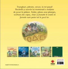 Bocanila invata formele