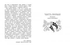 Конек-горбунок