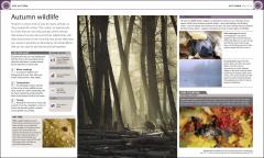 Digital Photography Month by Month