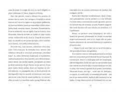 Ultima pisica neagra