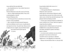 Un bursuc care se relaxeaza