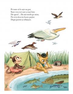 Descoperim cu Apolodor, in Delta, pasarile-n zbor