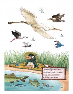 Descoperim cu Apolodor, in Delta, pasarile-n zbor