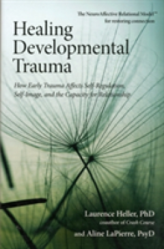 Healing Developmental Trauma