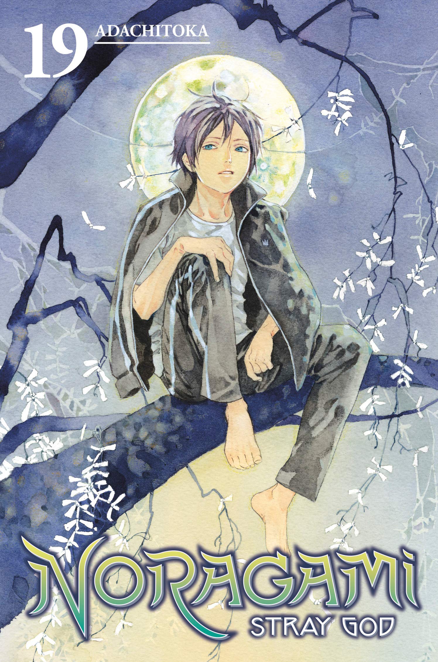 Noragami: Stray God - Volume 19