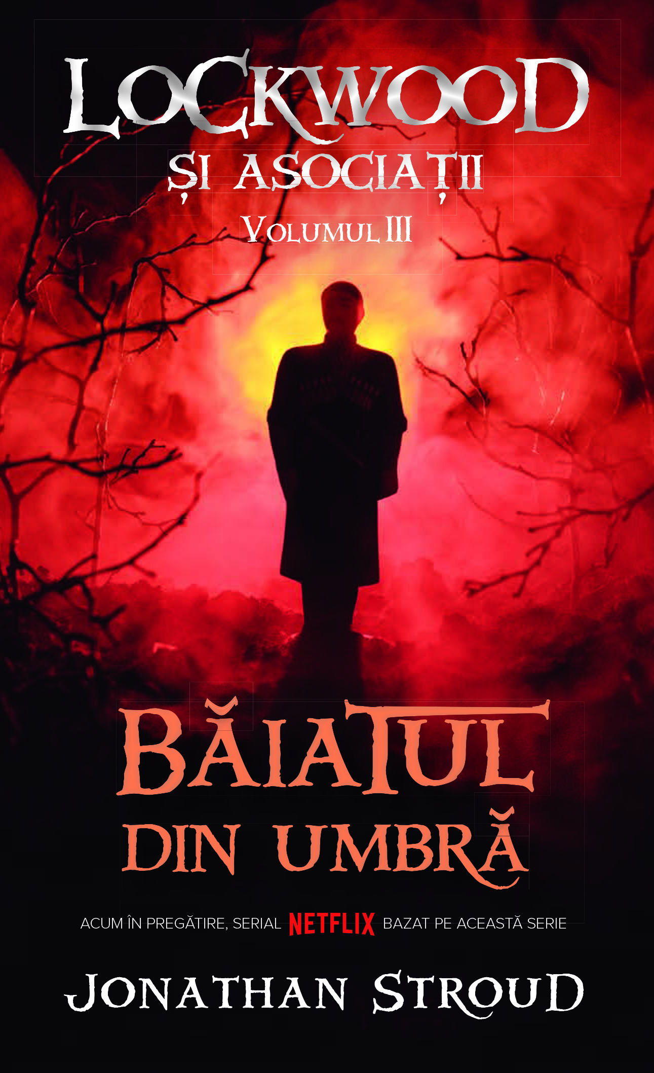 Baiatul din Umbra