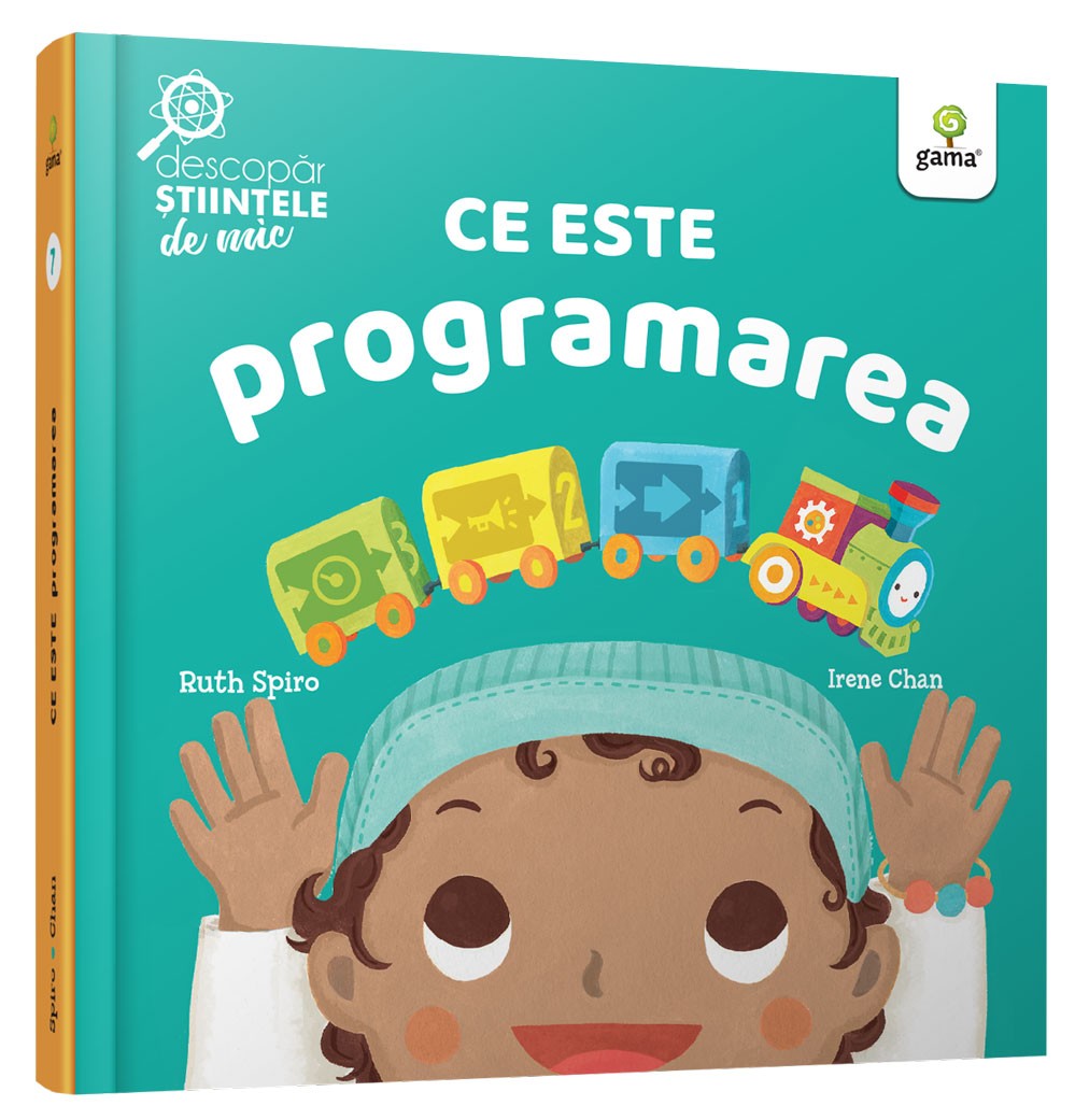Ce este programarea