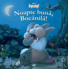 Noapte buna, Bocanila!