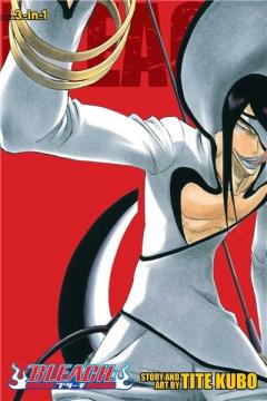 Bleach (3-in-1 Edition) Vol. 11