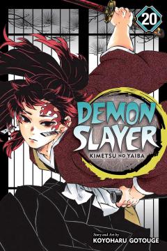 Demon Slayer: Kimetsu no Yaiba Vol. 20