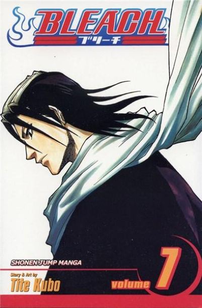 Bleach Vol. 7