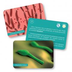 Carti de joc Montessori. Bacterii si virusuri 6-12 ani