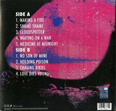 LP Foo Fighters. Medicine At Midnight - Vinyl