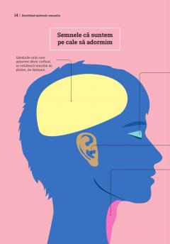 Somnul. Totul despre cum sa dormi mai bine!