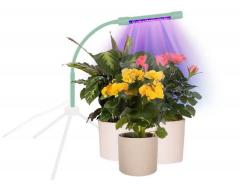 Kit plante - Picurator cu lumina