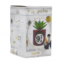 Planta decorativa - Harry Potter - Platform 9