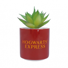 Planta decorativa - Harry Potter - Platform 9