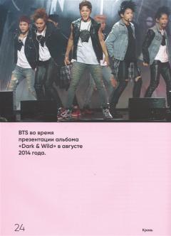 BTS. Кровь, пот и слёзы