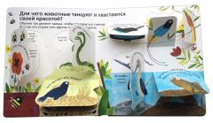 Как говорят животные