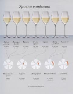 Wine Folly: Издание Магнум