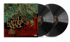 Ashes Of The Wake - Vinyl